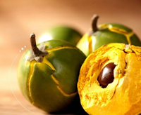 fruits