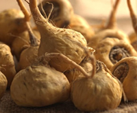 maca