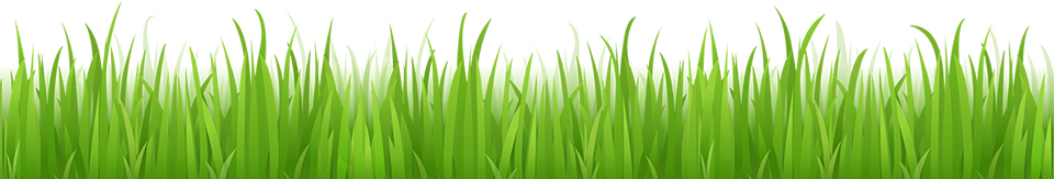 plantas